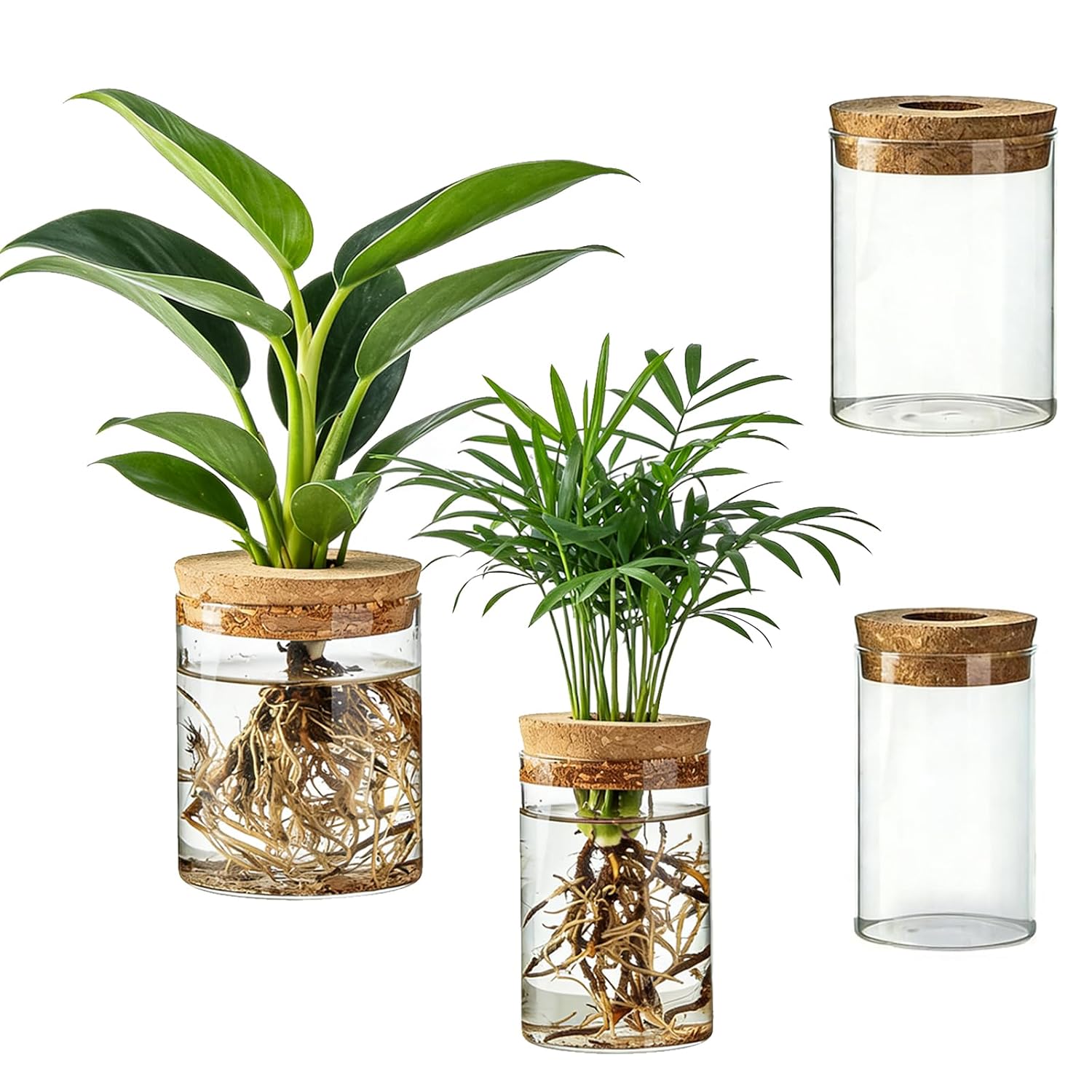 Propagation Station Vase - Cam Çiçek Yetiştirme İstasyonları 2 Büyük