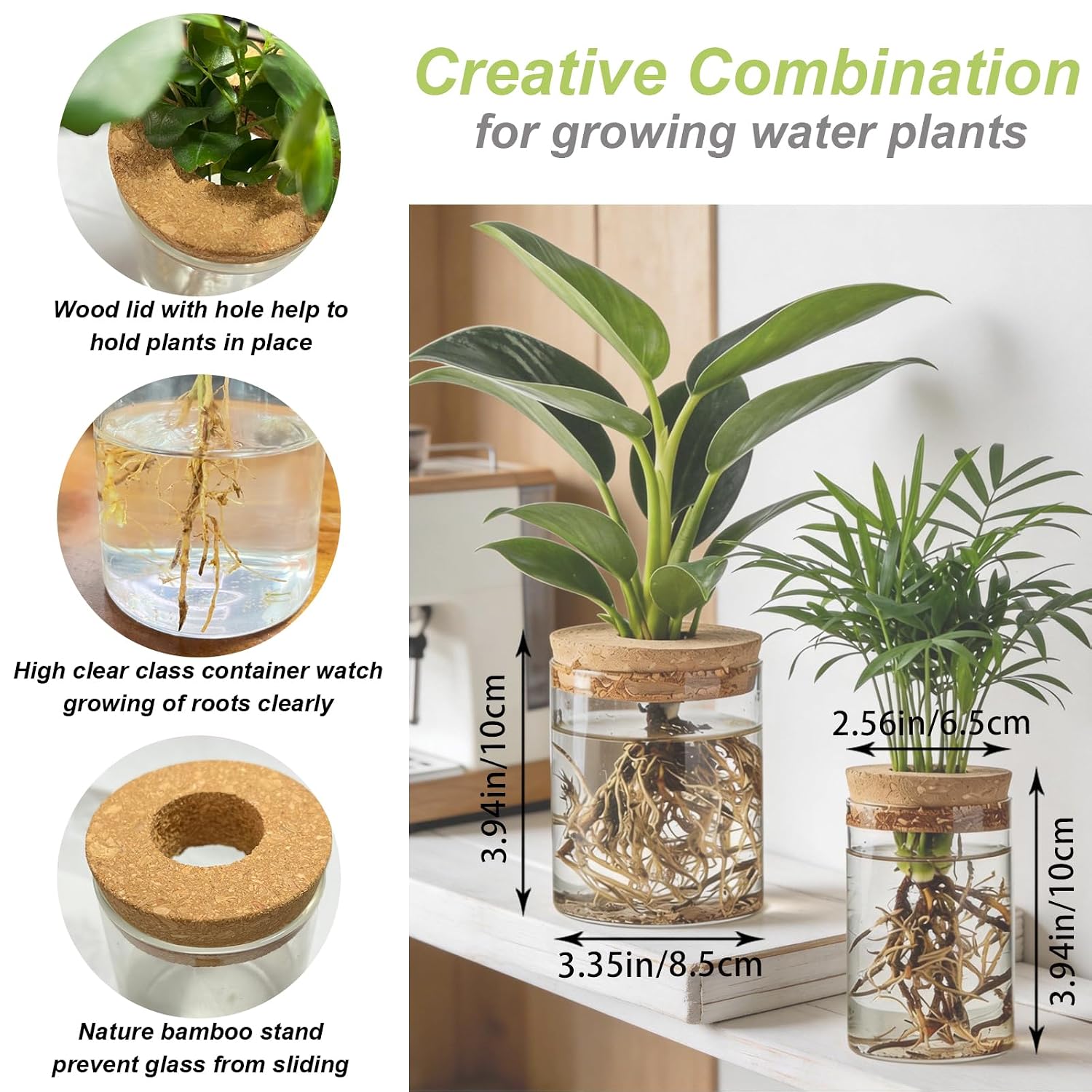 Cam Çiçek Yetiştirme İstasyonl - Propagation Station Vase incelemesi ve fiyatı
