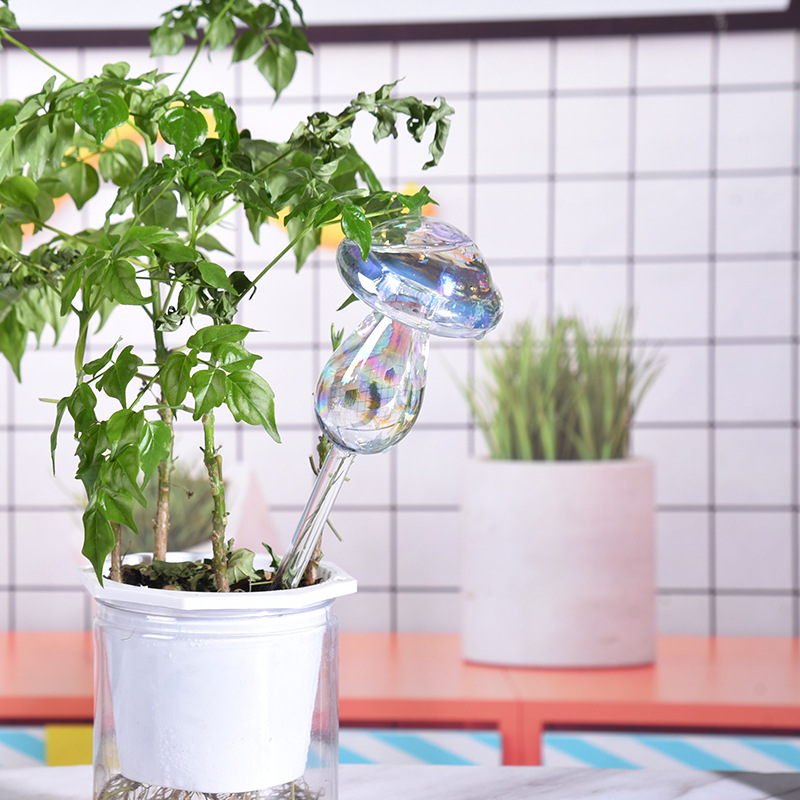 1/2 adet cam saman otomatik bi - Self Watering Insert incelemesi ve fiyatı