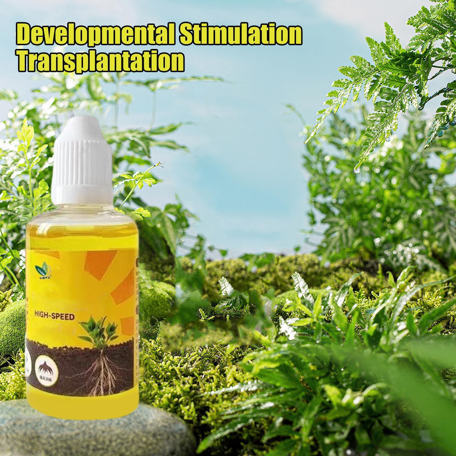 Hızlı Ekim Köklendirme Bitki B - Root Stimulator Liquid incelemesi ve fiyatı